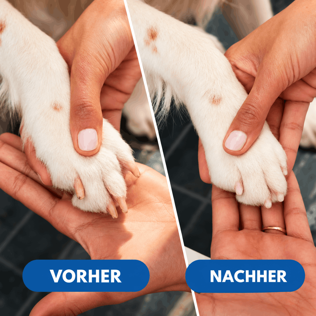 Elektrischer Krallenschleifer NailCare