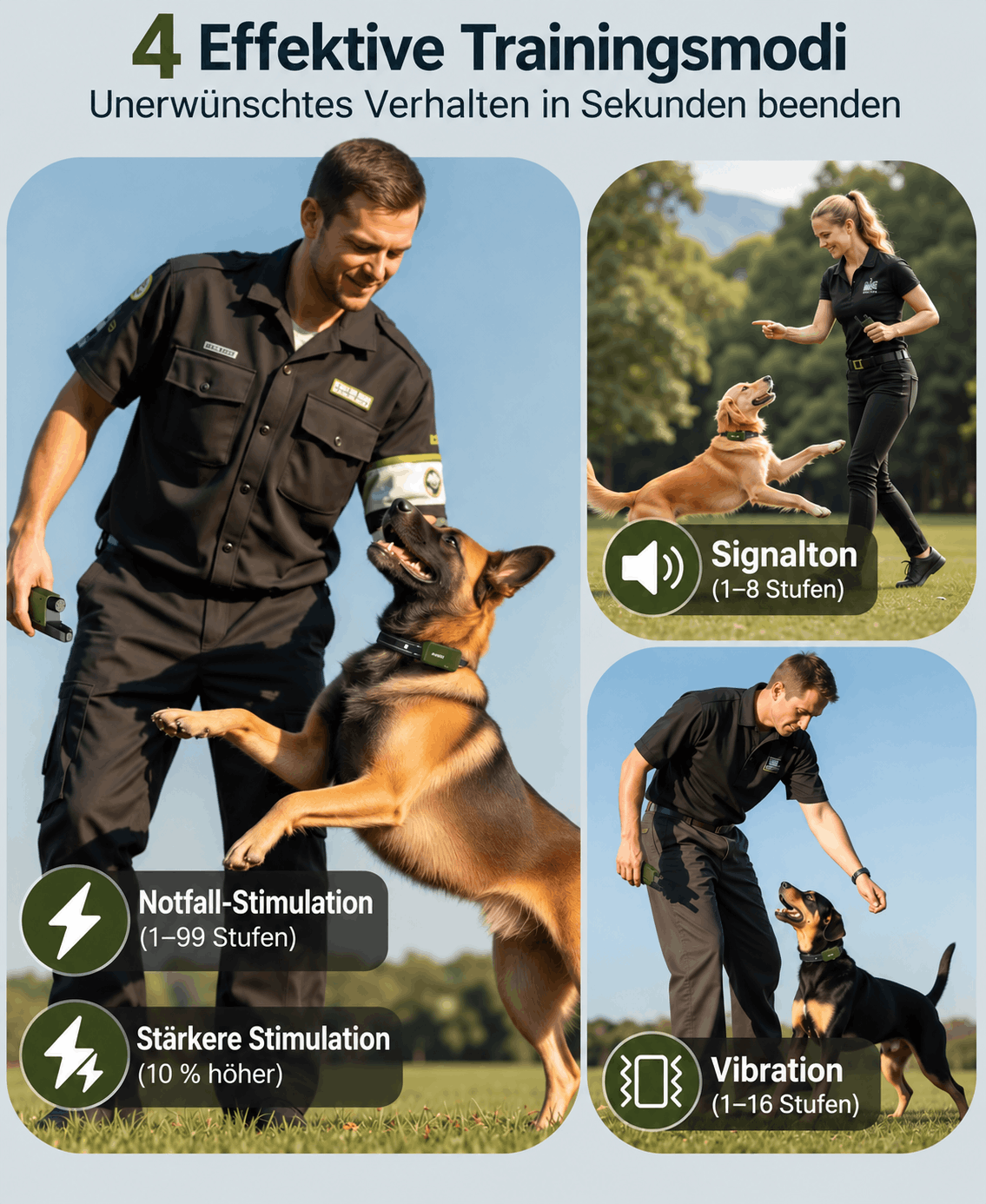 Hundetrainingshalsband TrainPro