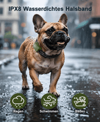 Hundetrainingshalsband TrainPro
