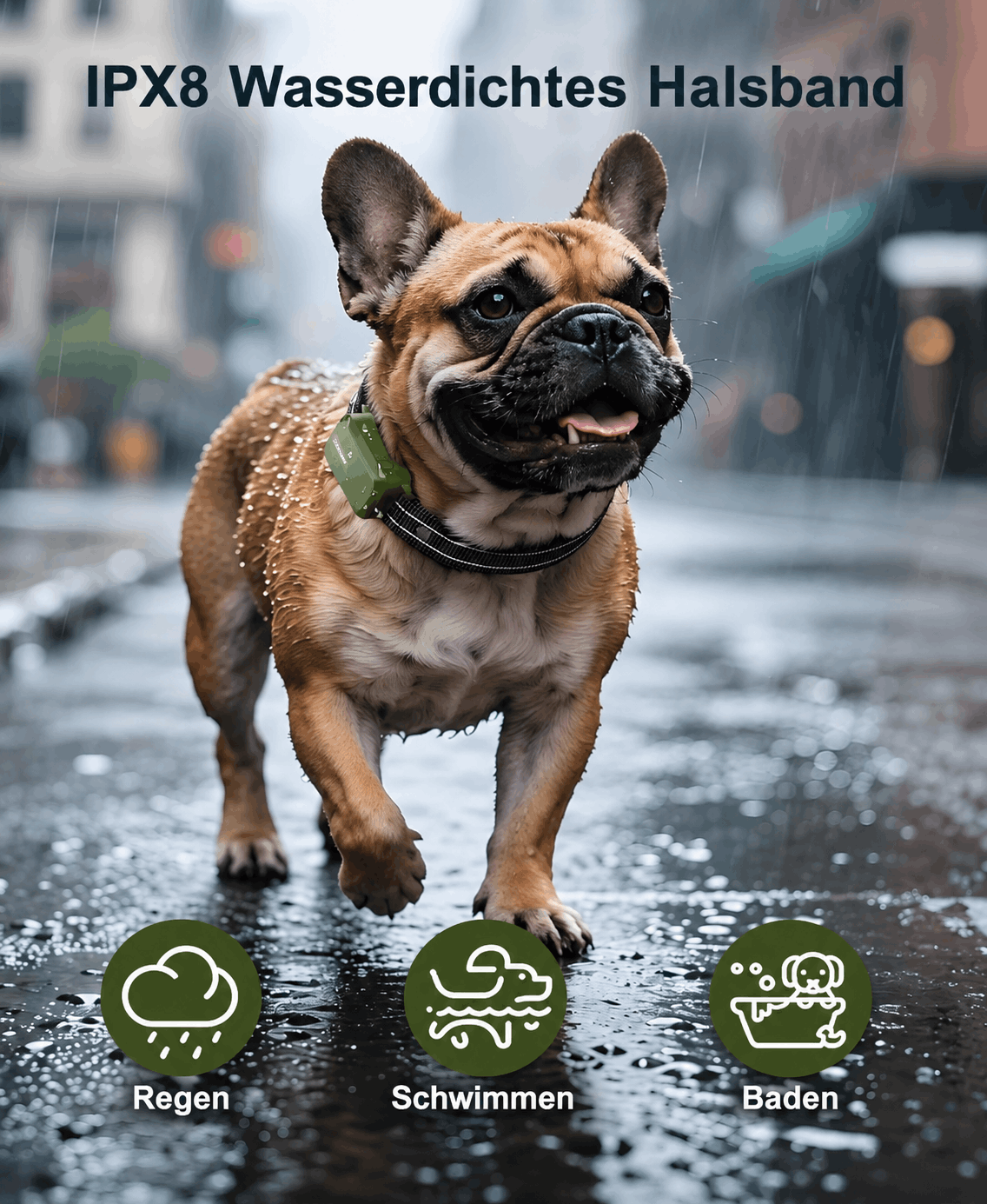 Hundetrainingshalsband TrainPro