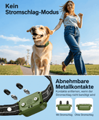 Hundetrainingshalsband TrainPro