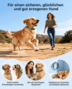Hundetrainingshalsband TrainPro